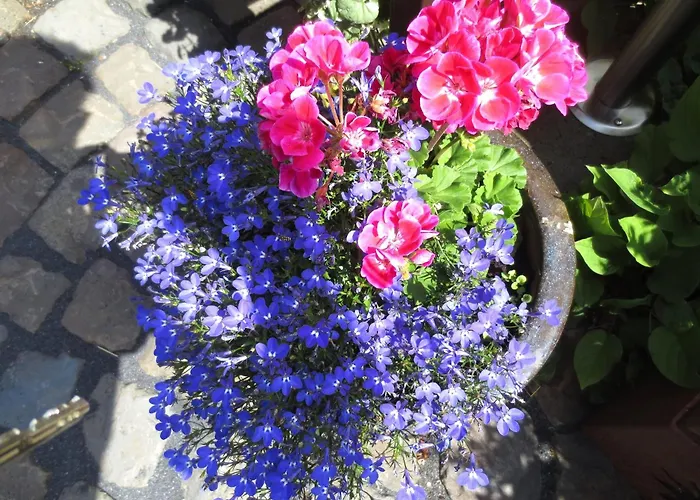 Charmante Erdgeschosswohnung In Lejlighed *